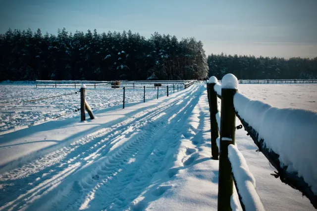Wood post-and-rail fence carrying a deep load of snow beside a plowed track at the edge of a pine forest — the kind of winter loading that bows rails and heaves shallow posts